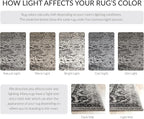 SAFAVIEH Adirondack Collection Area Rug - Image 8