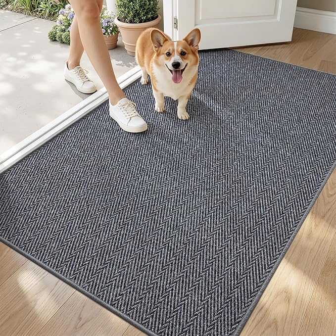 LUMI Ultra Thin Indoor Door Mat by LUMI