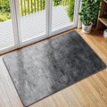 LIANLAM Washable 2x3 Entry Rugs by LIANLAM