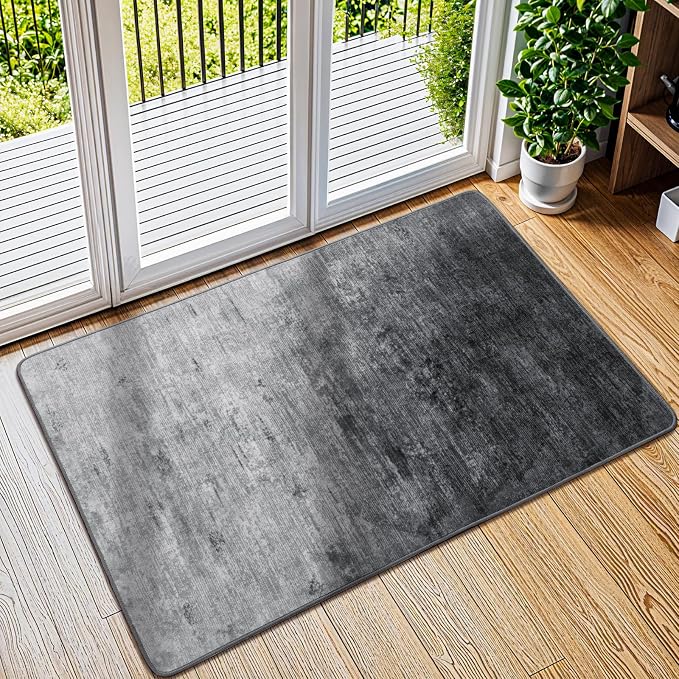 LIANLAM Washable 2x3 Entry Rugs by LIANLAM