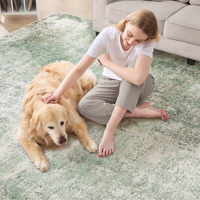 DMOYEST Area Rug Living Room Rugs - Image 4
