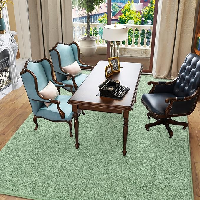Pettop 4x6 ft Light Green Area Rugs - Image 6