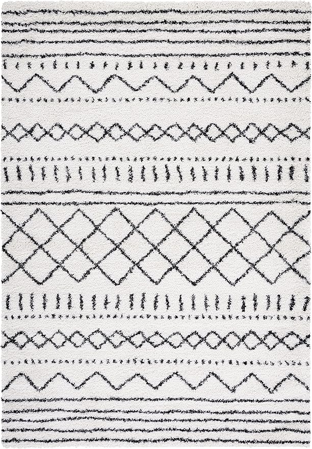 SAFAVIEH Area Rug 11x15 - Image 2
