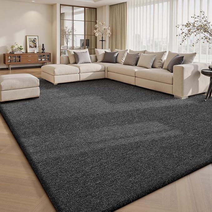 Sour Lemon 8x10 Area Rugs for Living Room, Soft Large Area Rug Fluffy Rugs for by SourLemon