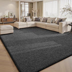 Sour Lemon 8x10 Area Rugs for Living Room, Soft Large Area Rug Fluffy Rugs for by SourLemon