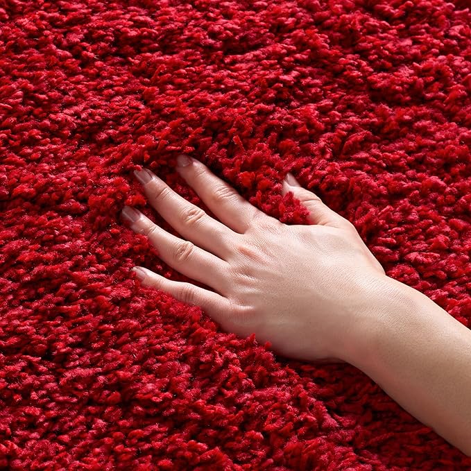 SAFAVIEH Area Rug 4x6 by Unknown