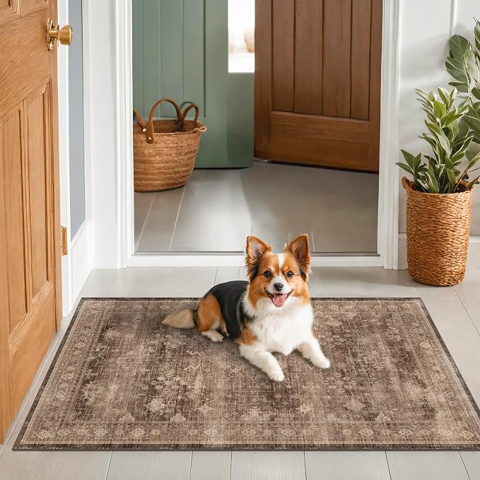 Boho Taupe Brown 3x5 Large Entryway Rug - Image 8
