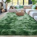 5x7 Fluffy Fuzzy Area Rug for Living Room Bedroom, Ultra Soft Rugs for Living by Awaytail