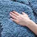 SAFAVIEH Florida Shag Collection Accent Rug by Unknown