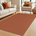 IOHOUZE Washable Area Rug 4x6 Non Slip Rubber Backed Woven Rugs by iOhouze