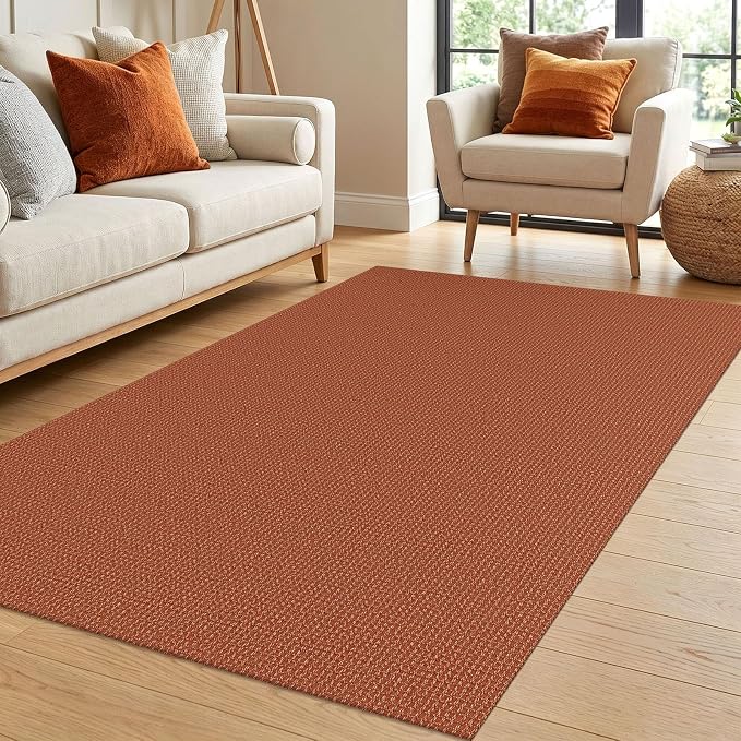 IOHOUZE Washable Area Rug 4x6 Non Slip Rubber Backed Woven Rugs by iOhouze