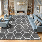 ONASAR 8x10 Area Rugs for Living Room, Fluffy Grey and White Bedroom Rug by ONASAR