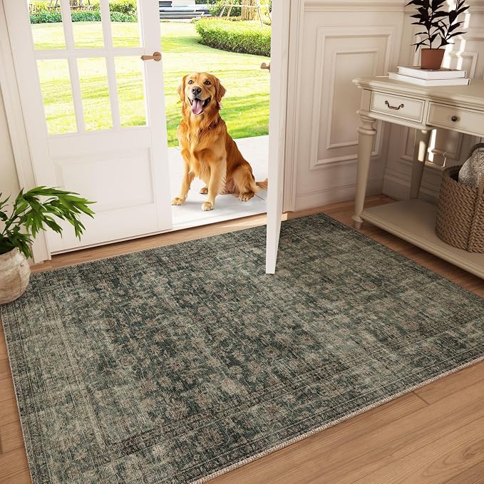 Machine Washable Throw Rugs for Entryway: Door Mat Indoor Entrance 3x5 Rug Boho by palohom