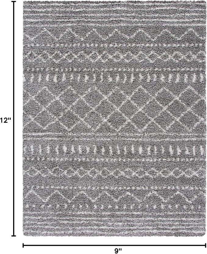 SAFAVIEH Area Rug 9x12 - Image 2