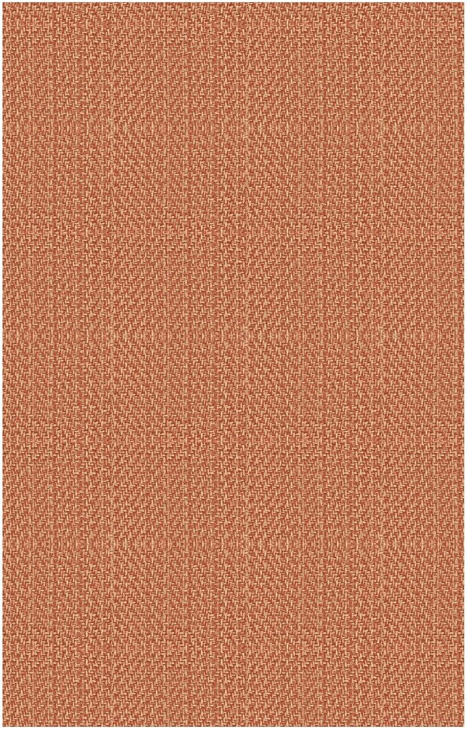 IOHOUZE Small Area Rug 2x3 Washable Woven Rugs - Image 9