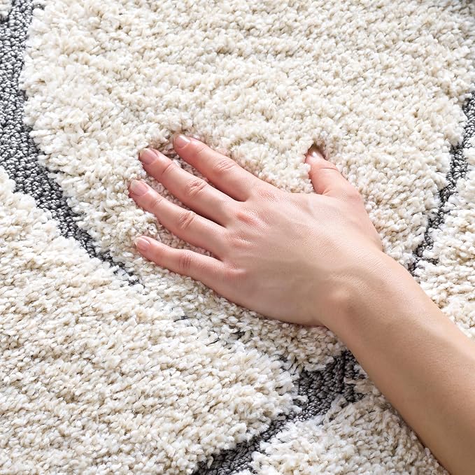 SAFAVIEH Florida Shag Collection Accent Rug by Unknown