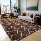 ONASAR 5x7 Area Rugs for Living Room Bedroom, Fluffy Brown and White Throw Rug by ONASAR