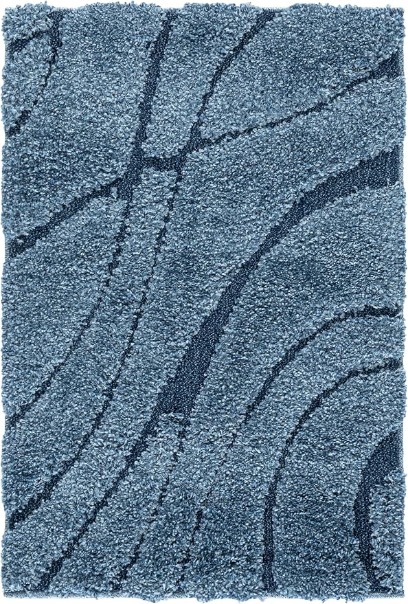 SAFAVIEH Florida Shag Collection Accent Rug - Image 2