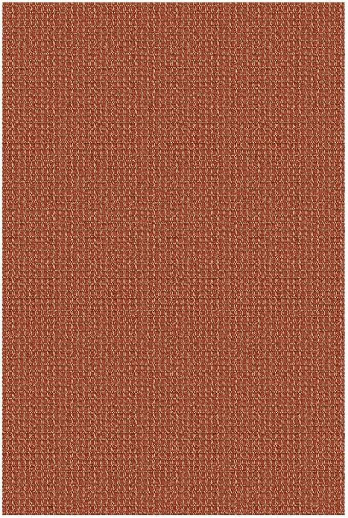 IOHOUZE Small Area Rug 2x3 Washable Woven Rugs - Image 9