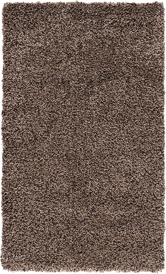 SAFAVIEH Area Rug 4x6 - Image 4