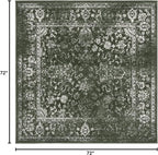 SAFAVIEH Adirondack Collection Area Rug - Image 2