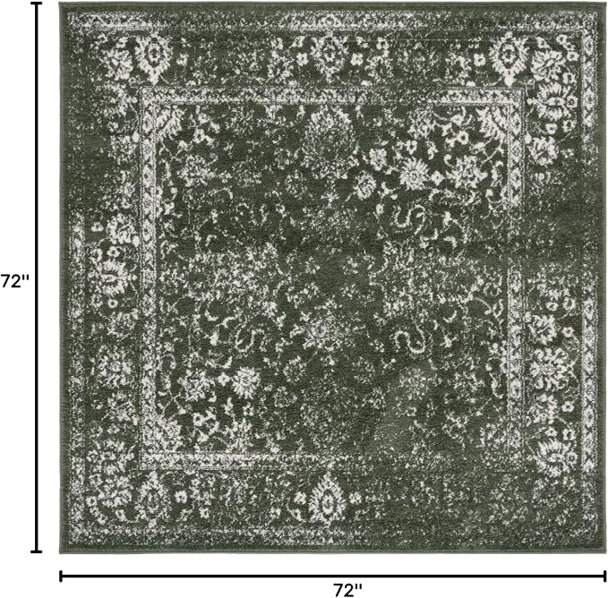 SAFAVIEH Adirondack Collection Area Rug - Image 2