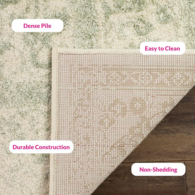 SAFAVIEH Adirondack Collection Area Rug - Image 8