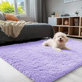 OLANLY 3x5 Machine Washable Small Bedside Rug, Soft Fluffy Shaggy Rugs by OLANLY