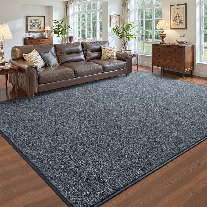 Pettop 4x6 Blue Grey Area Rugs for Living Room Bedroom, Thickened Memory-Foam by Pettop