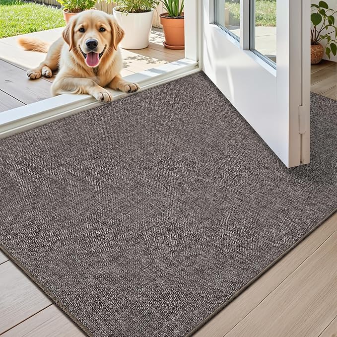 Color&Geometry Ultra Thin Indoor Door Mat 32"x48", Non Slip Rubber Backed Dirt by COLORG