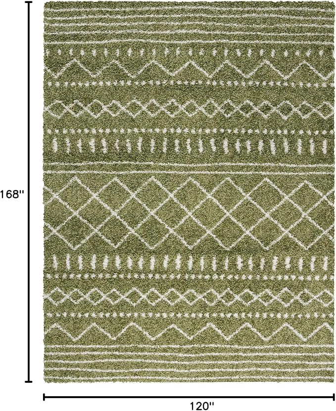 SAFAVIEH Area Rug 10x14 - Image 2