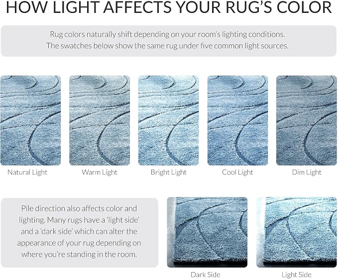 SAFAVIEH Florida Shag Collection Accent Rug - Image 8