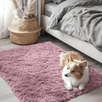 OLANLY 2x3 Machine Washable Small Bedside Rug, Soft Fluffy Shaggy Entryway by OLANLY
