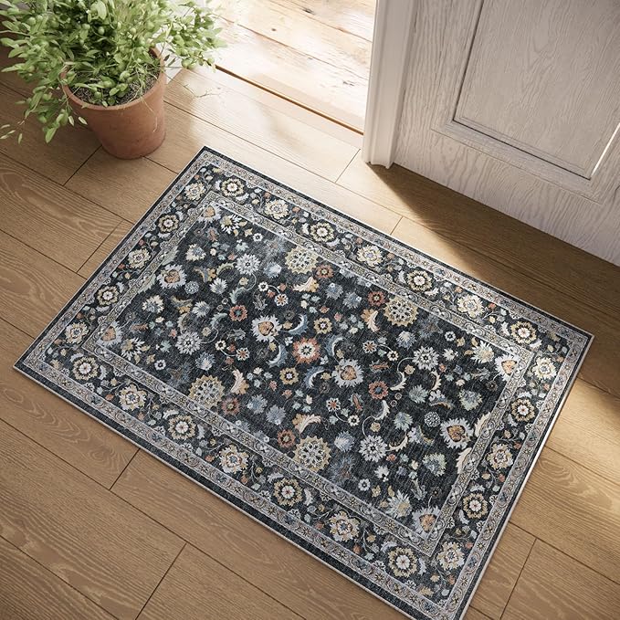 Washable Small Area Rugs for Kitchen: Door Mat Indoor Entrance 2x3 Throw Rug by palohom