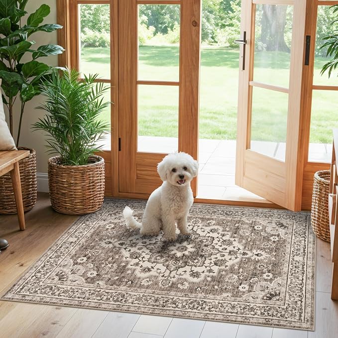 TOPRUUG Washable Entryway 3x4 Rug by TOPRUUG