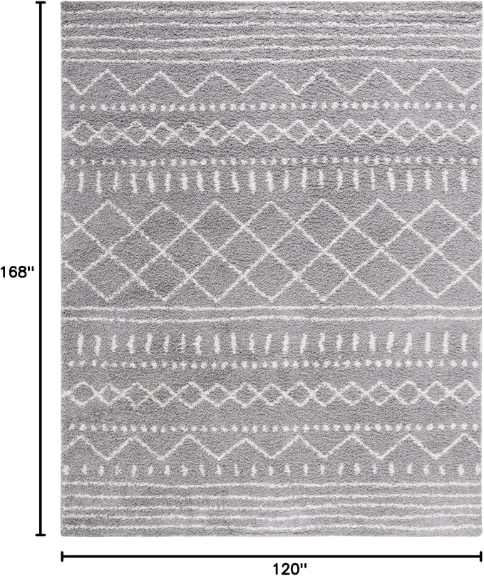 SAFAVIEH Area Rug 10x14 - Image 2