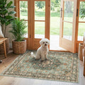 TOPRUUG Green Entryway 3x4 Rug by TOPRUUG