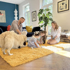 OLANLY 2x3 Machine Washable Small Bedside Rug, Soft Fluffy Shaggy Entryway - Image 6