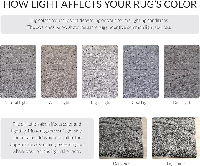 SAFAVIEH Florida Shag Collection Accent Rug - Image 9