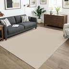 KOZYFLY Washable 5x7 Living Room Rug, Non Slip Woven Area Rugs, Braided Floor by KOZYFLY