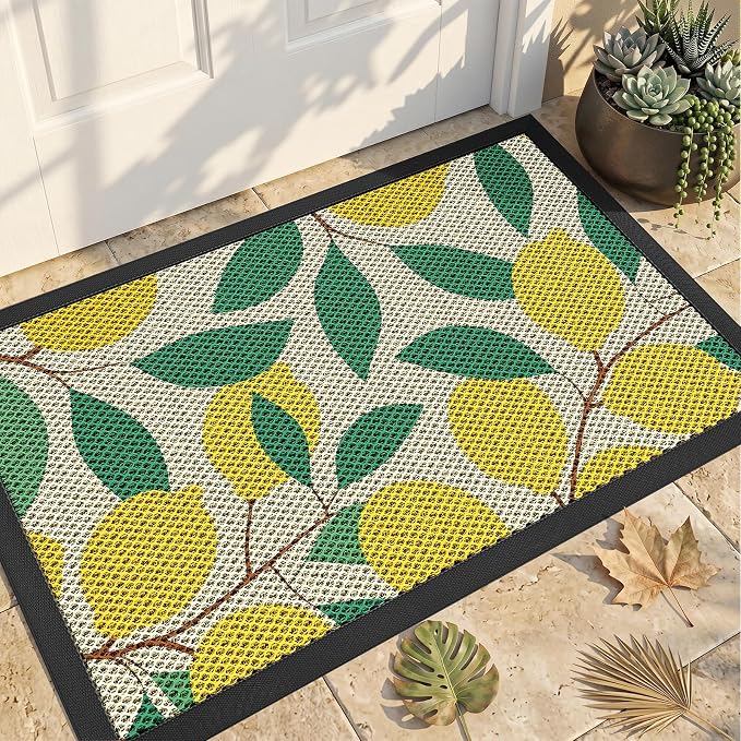 Front Door Mat, Heavy Duty Non-Slip Rubber Dirt Trapper, Quick-Dry Low-Profile by WELDUN