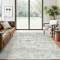 Soalmost 6x9 Area Rug for Living Room Floral Washable Non-Slip Gray Rugs for by Soalmost