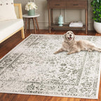SAFAVIEH Area Rug 4x6 - Image 6