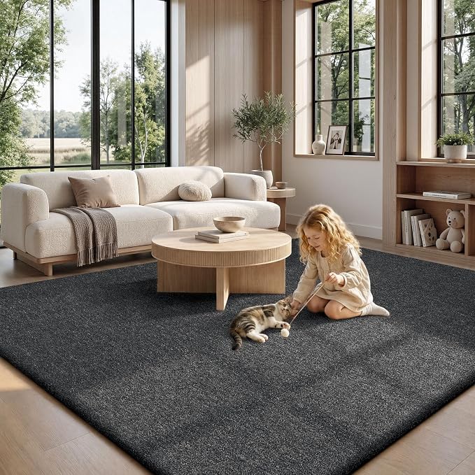 Sour Lemon 9x12 Area Rugs for Living Room, Soft Large Area Rug Fluffy Rugs for - Image 9