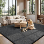 Sour Lemon 8x10 Area Rugs for Living Room, Soft Large Area Rug Fluffy Rugs for - Image 9