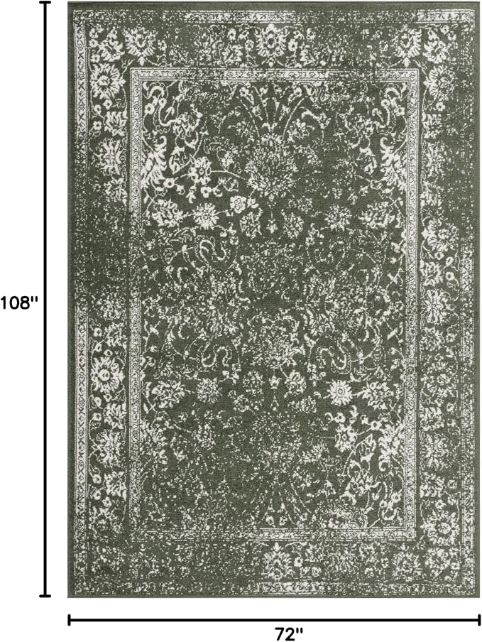 SAFAVIEH Area Rug 6x9 - Image 2