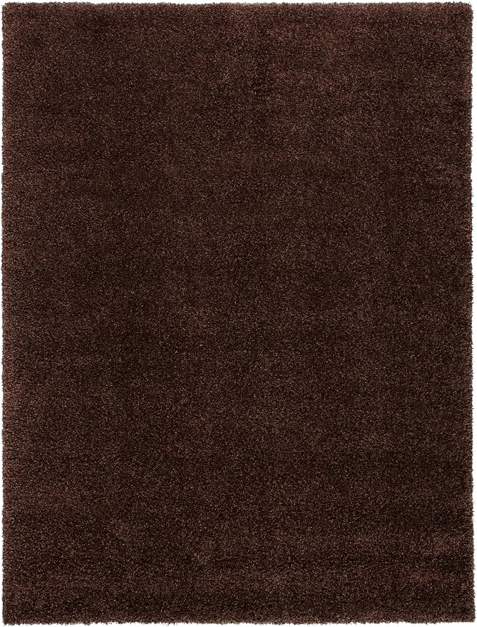 SAFAVIEH Area Rug 11x15 - Image 3