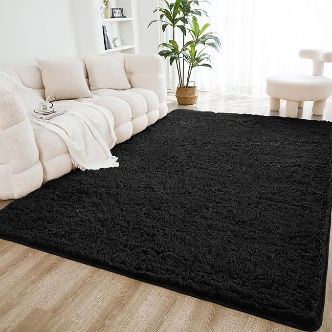 Litanika 6x9 Shag Area Rug for Living Room Bedroom, Non-Shedding Modern Indoor by Litanika