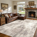DMOYEST 10x12 Area Rug for Living Room, Washable & Non Slip Large Indoor Carpet by DMOYEST