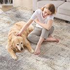 DMOYEST Area Rug Living Room Rugs - Image 4